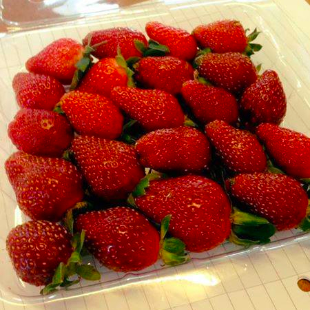 Packaging Details HIgh Punnet: option 1: 20 Punnet x 225 Gm = 4.50 Kg N.W / CRTN option 2: 12 Punnet x 400 Gm = 4.80 kg N.W / CRTN Flat Punnet: option 1: 10