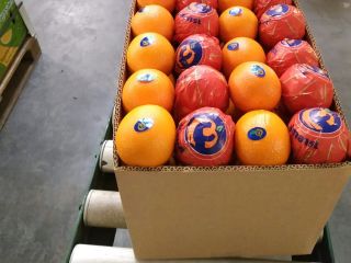 We are a distribution office with headquarters in Denmark