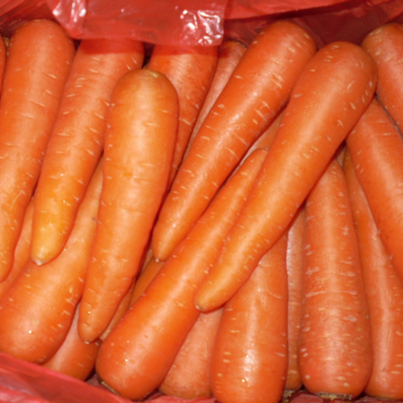 Product name Wholesalen Sell sell fresh carrot Variety Carrot Style Fresh Brand XINSHENG Size S, M,L,2L,3L Certification ISO&GAP Unit weight 0.15kg Shipment