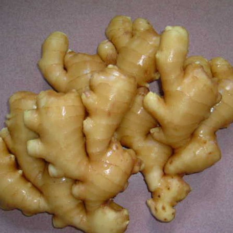 Nutritional Value of ginger Fresh ginger has detoxifying effect sterilization, it can produce an antioxidant enzyme