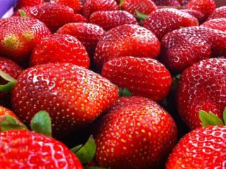 Product Name Strawberry, Fresh fruits, Made in Japan Szie