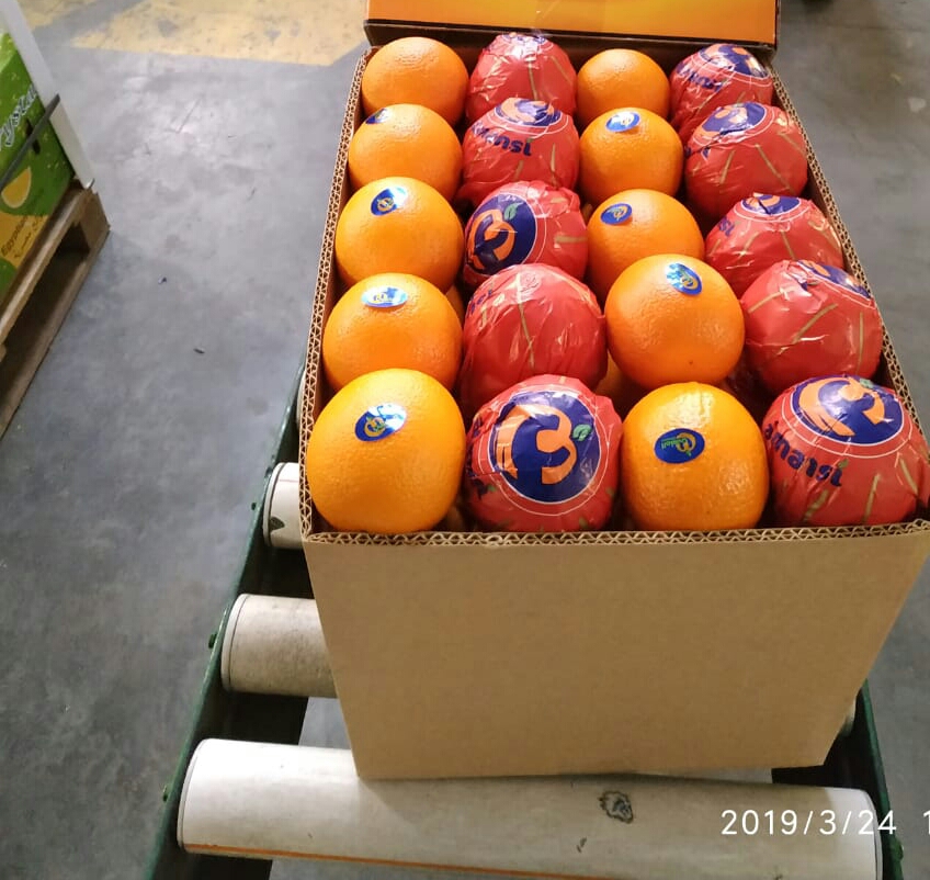 Packaging Details Packaging Standard Packing: Telescopic (Cartons or Open Top) Net Weight 15 kg / Gross Weight 16 kg Net Weight 7.5 kg / Gross Weight 8.25 kg