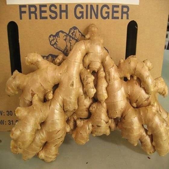 Wholesale price of organic fresh premium ginger We are suppliers of fresh ginger of the highest quality
