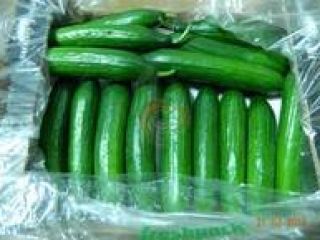 Specifications of fresh cucumber From Cyprus STAGE 1 SGS