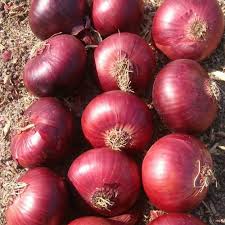We are the leading producers of all kinds of fresh vegetables in the world, as well as the best quality, which is why we are looking for buyers who can buy in