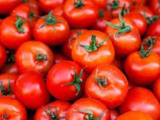 We are the leading producers of all kinds of
