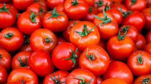 We are the leading producers of all kinds of fresh vegetables in the world, as well as the best quality, which is why we are looking for buyers who can buy in