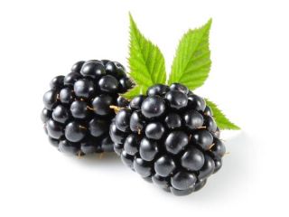 Fresh, tasty and healthy.