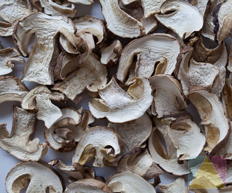 We are one of the best Musroom suppliers with all types quickly and we save World wild supplies