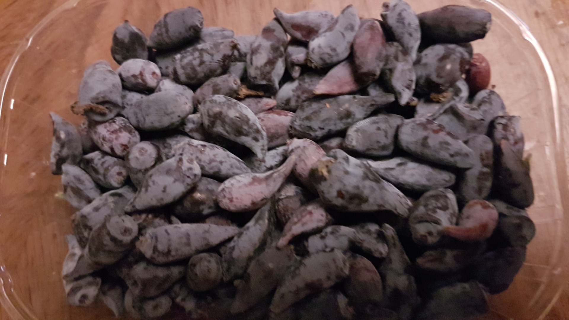 I will sell fruits from Kamchatka berries