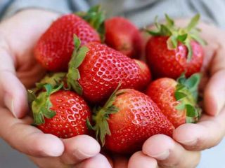 i will sell fresh and frozen Strawberry package in