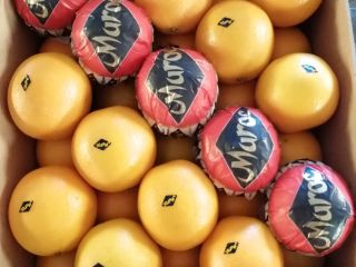 Moroccan Valencia Late Oranges _ SALES offer all types