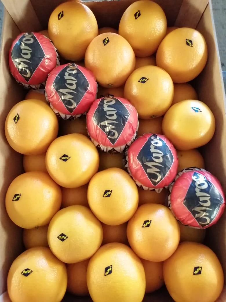 Moroccan Valencia Late Oranges _ SALES offer all types packaging all sizes