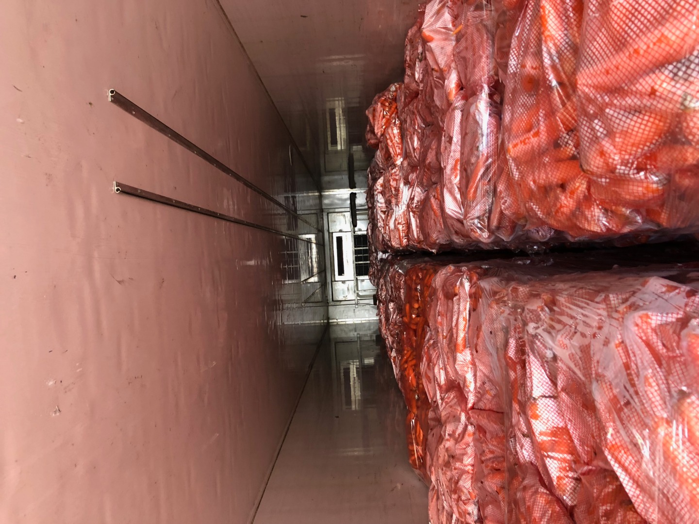 Stored high quality carrots ready for sale