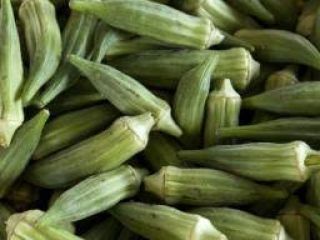 all okra varieties avaiable Baby Bubba Hybrid Blondy Burgundy