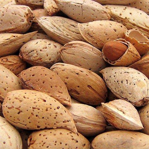 Almonds not peeled for processing I will sell almonds for processing