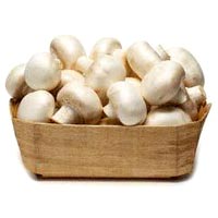 We are the main supplier of this product