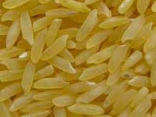 wickr.....meshi1 Texture : Soft Speciality : Gluten Free, High