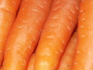 Fresh Carrot na sprzedaż. rozmiar: S, M, L, 2L,