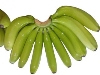 We are one of the leading exporters from Germany.