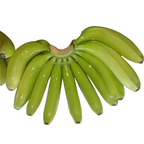 We are one of the leading exporters from Germany