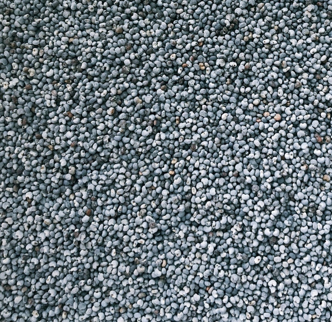 Moldavian company ,, Anastasia Trading & Services '' SRL offering for sale conventional blue poppy seeds, 4-11 ppm morphine content, 99,9% purity, origin :