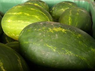 I have for sale a very juicy red watermelon