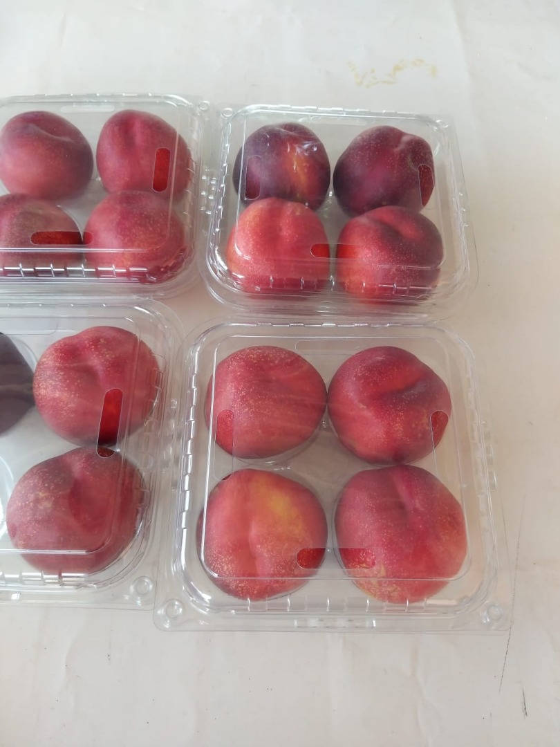 Turkish nectarine