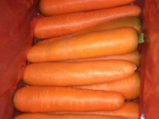 Fresh carrots for sale email