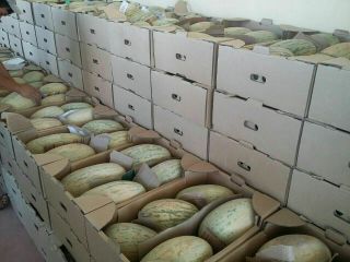 I will sell melon. Country of origin is Uzbekistan.
