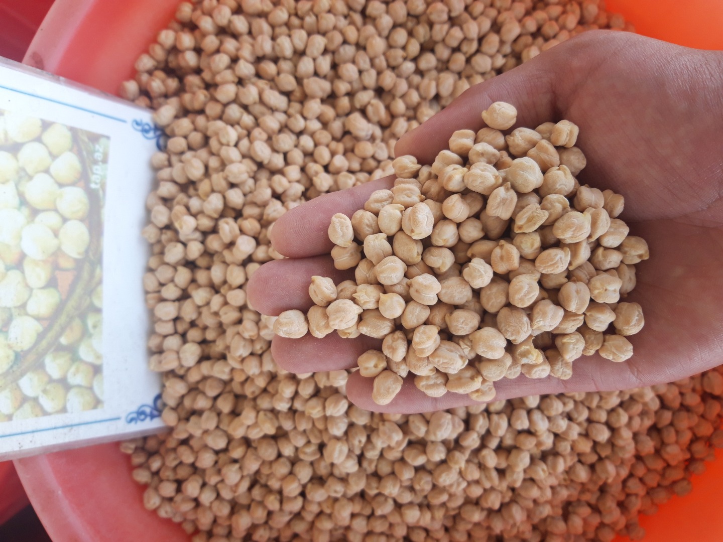 I will sell chickpeas (Iranian yellow) from Uzbekistan