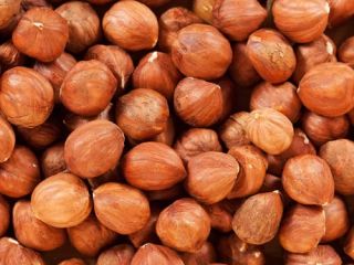 Selling peeled hazelnuts. The harvest of 2018. Kolibr from