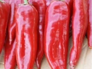 Sell red pepper Origin of goods Turkey Very good