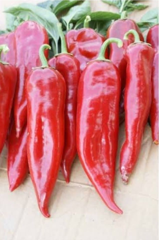 Sell red pepper Origin of goods Turkey Very good quality Contact whatapp Mail