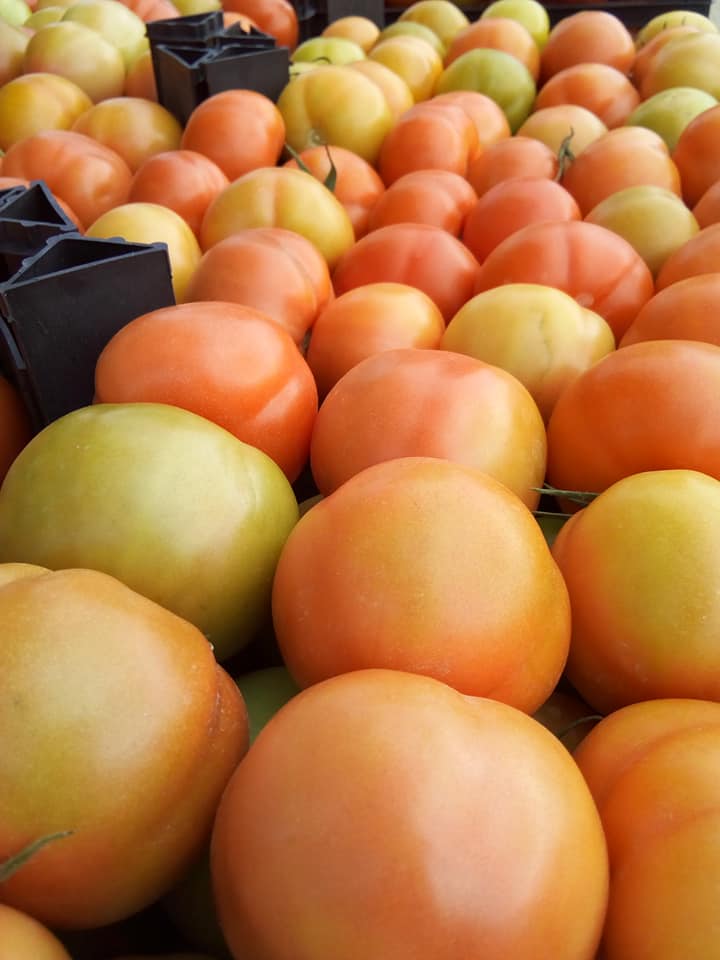 we are happy to offer fresh tomatoes (cherry, plum, cherry) packed in mesh bags 10 / kg at very competitive prices total load of 22 tons in a 40-foot RH