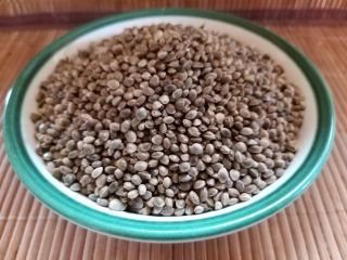 Hemp seed (Sativa) grade USO31 large, whole, mature hemp