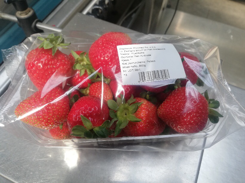 Polish strawberry, nice, fresh, 10x500 g pack