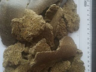 We sell rapeseed cake. Goods of Ukrainian origin, protein
