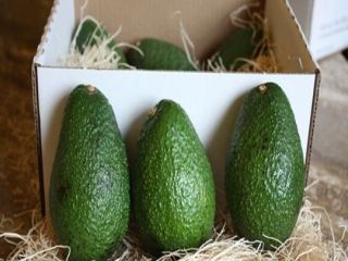 Our company is a major supplier of agricultural products