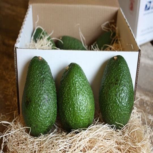 Our company is a major supplier of agricultural products from South Africa, we provide fresh fruits and vegetables, spices, We have a large Avocado farm and