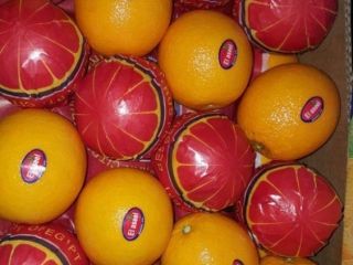 Supply Ability: 5000 Metric Ton/Metric Tons per Month Packaging