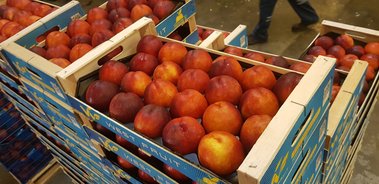 Fia Gogot Fruit company in Greece Salonik offers you the highest range of fresh fruits and vegetables at producer price