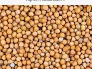 MUSTARD Product Type: Single Herbs & Spices Style: Fresh