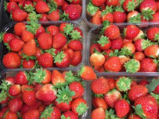 Fresh strawberry, sweet, Polish, san andreas, punet 500g.