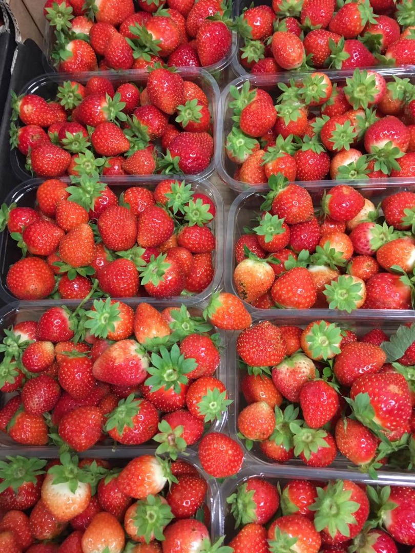 Fresh strawberry, sweet, Polish, san andreas, punet 500g