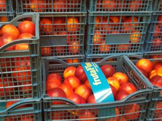 Fia Gogot Fruit offers fresh nectarine and peach from