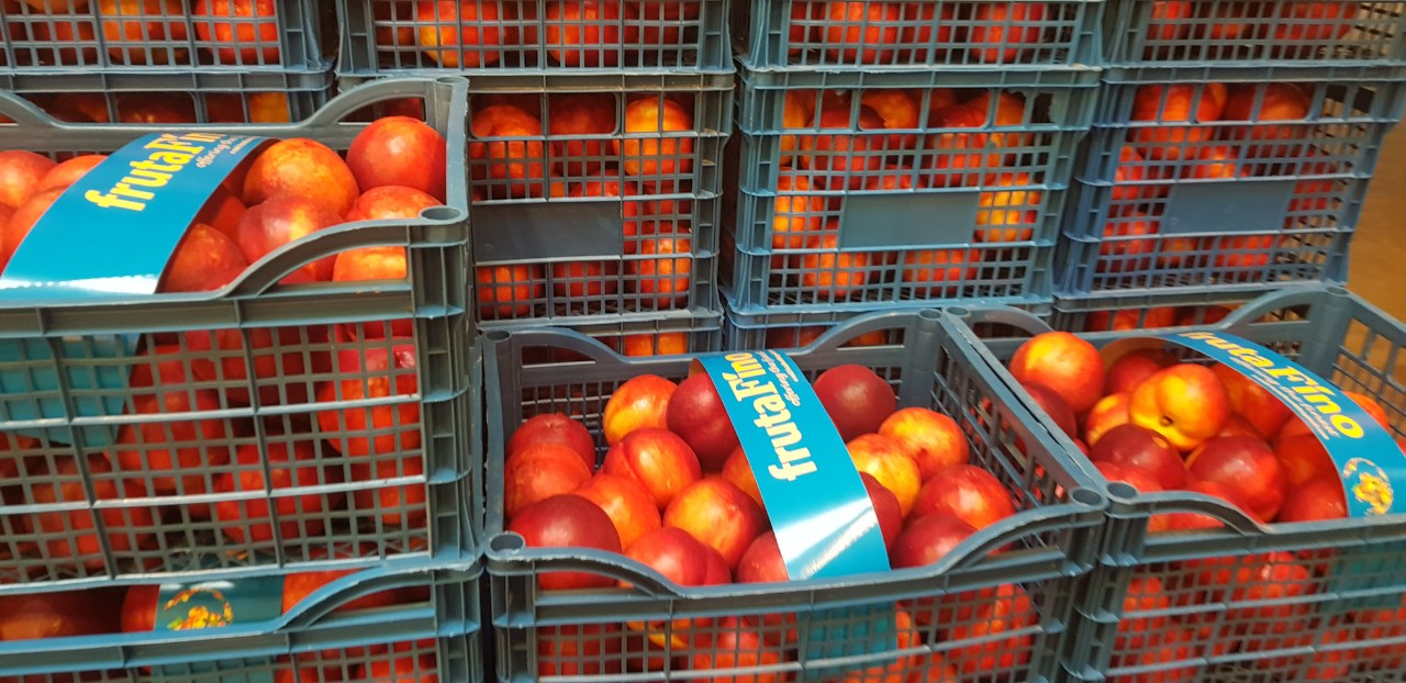 Fia Gogot Fruit offers fresh nectarine and peach from the orchard at manufacturer's price packed and selected according to your requirements .