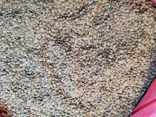 I will sell lentils from crops 2018.