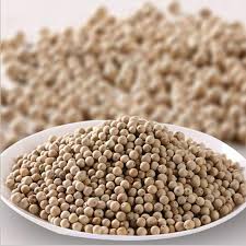 We are currently at the peak of our white pepper harvest
