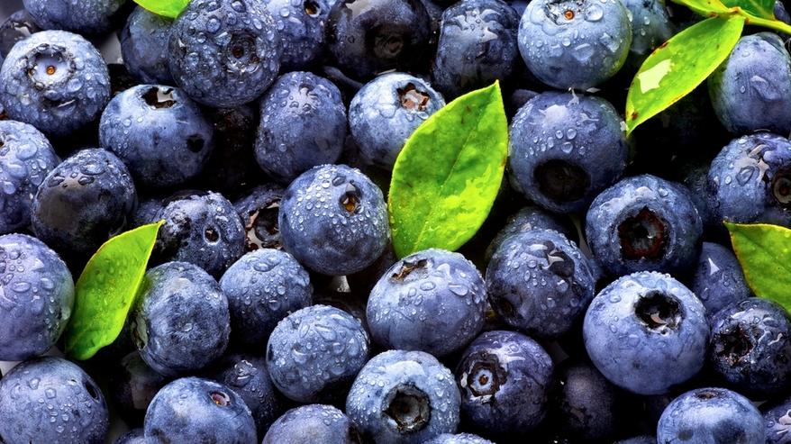 WELCOME, I WILL SELL A LARGE QUANTITY OF FOREST BERRY, POSSIBLE TRANSPORTATION